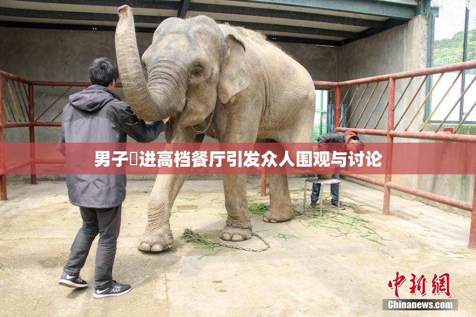 男子挵进高档餐厅引发众人围观与讨论