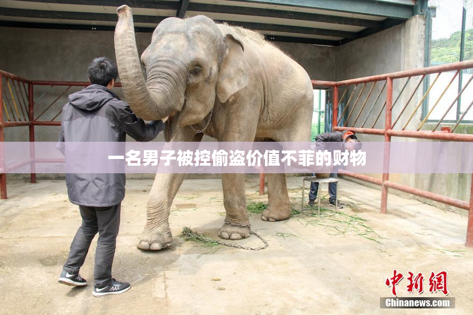 一名男子被控偷盗价值不菲的财物