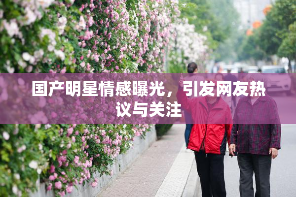 国产明星情感曝光，引发网友热议与关注