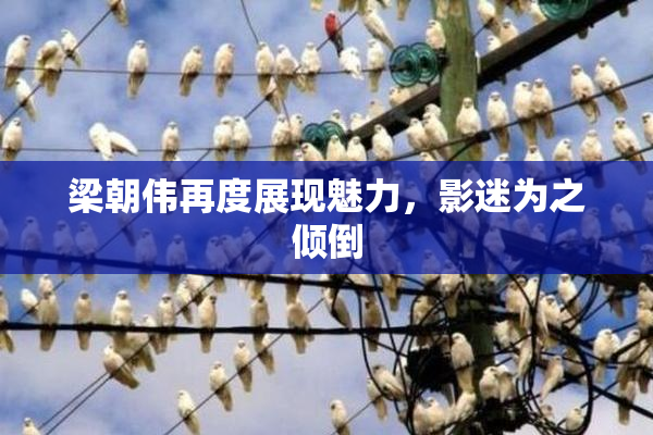 梁朝伟再度展现魅力，影迷为之倾倒