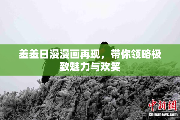 羞羞日漫漫画再现，带你领略极致魅力与欢笑