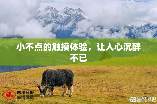 小不点的触摸体验，让人心沉醉不已