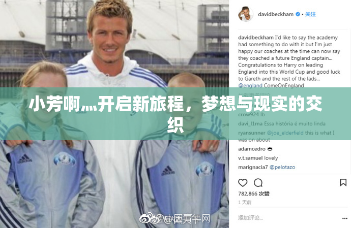 小芳啊灬开启新旅程，梦想与现实的交织