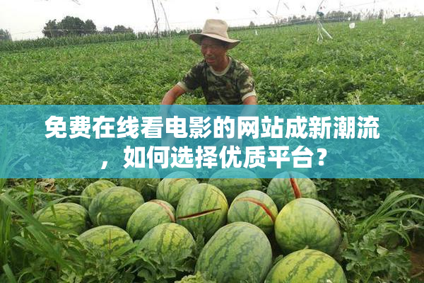 免费在线看电影的网站成新潮流，如何选择优质平台？