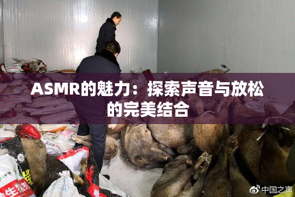 ASMR的魅力：探索声音与放松的完美结合