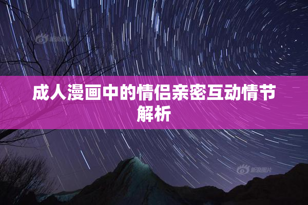 成人漫画中的情侣亲密互动情节解析