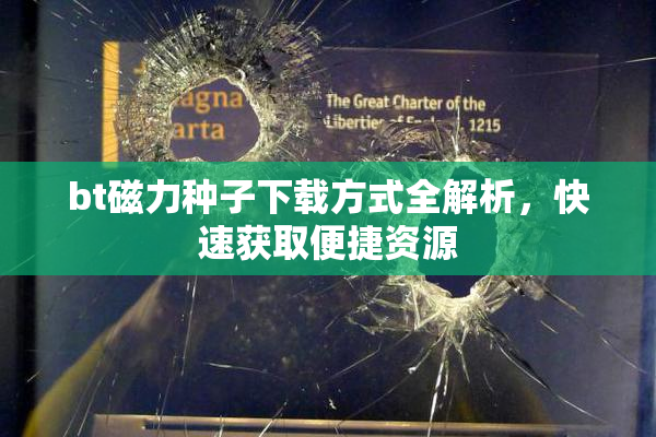 bt磁力种子下载方式全解析，快速获取便捷资源