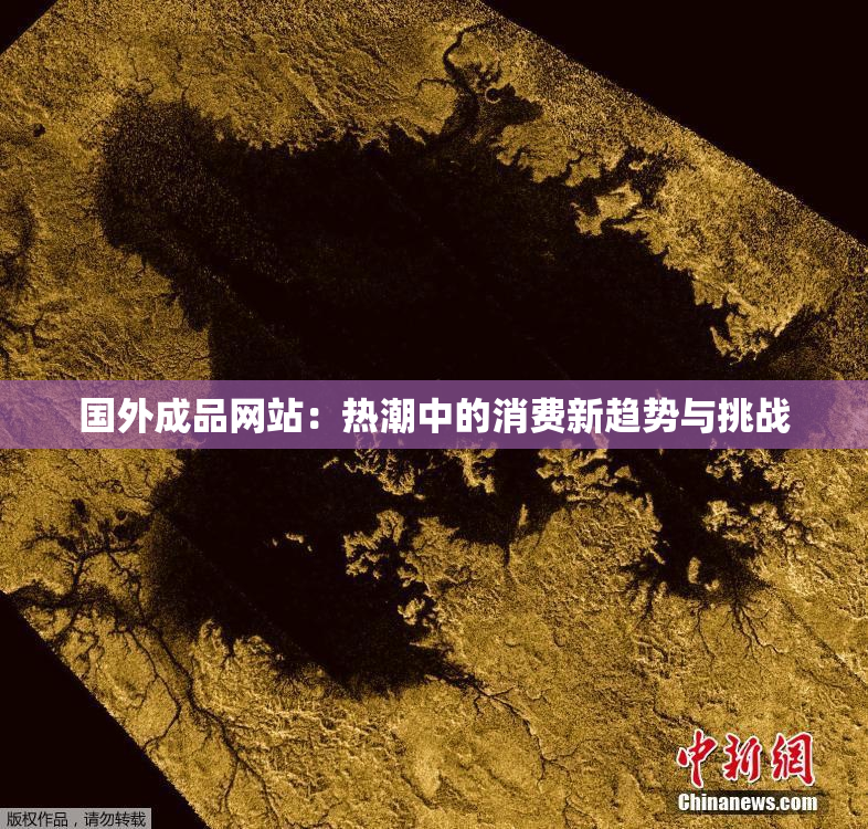 国外成品网站：热潮中的消费新趋势与挑战