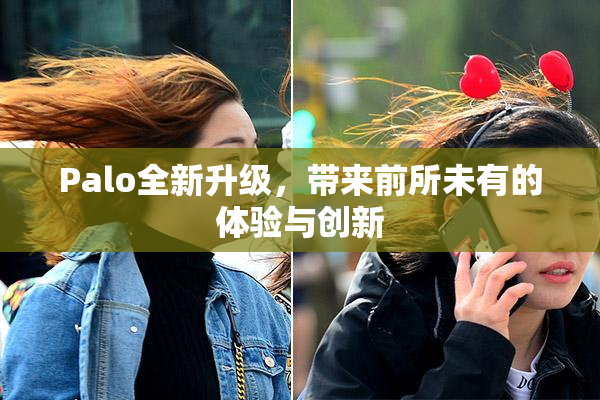 Palo全新升级，带来前所未有的体验与创新