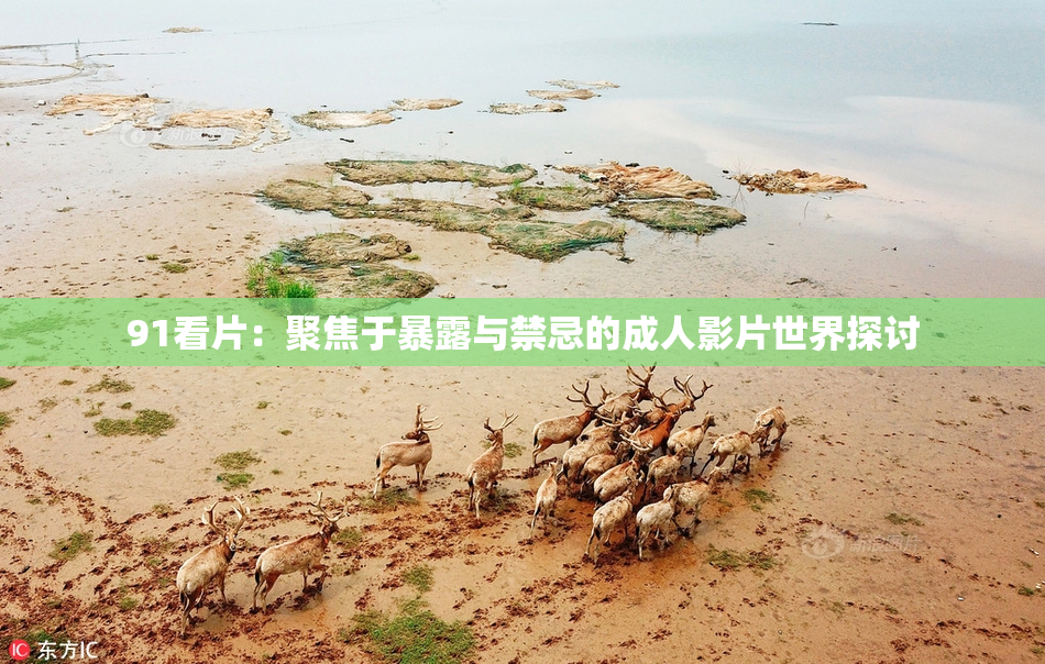 91看片：聚焦于暴露与禁忌的成人影片世界探讨