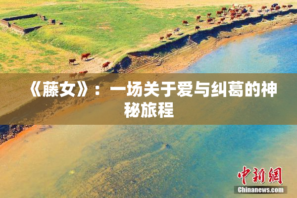 《藤女》：一场关于爱与纠葛的神秘旅程