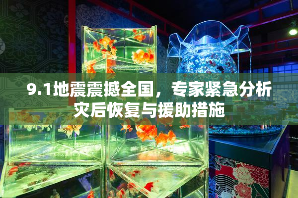 9.1地震震撼全国，专家紧急分析灾后恢复与援助措施