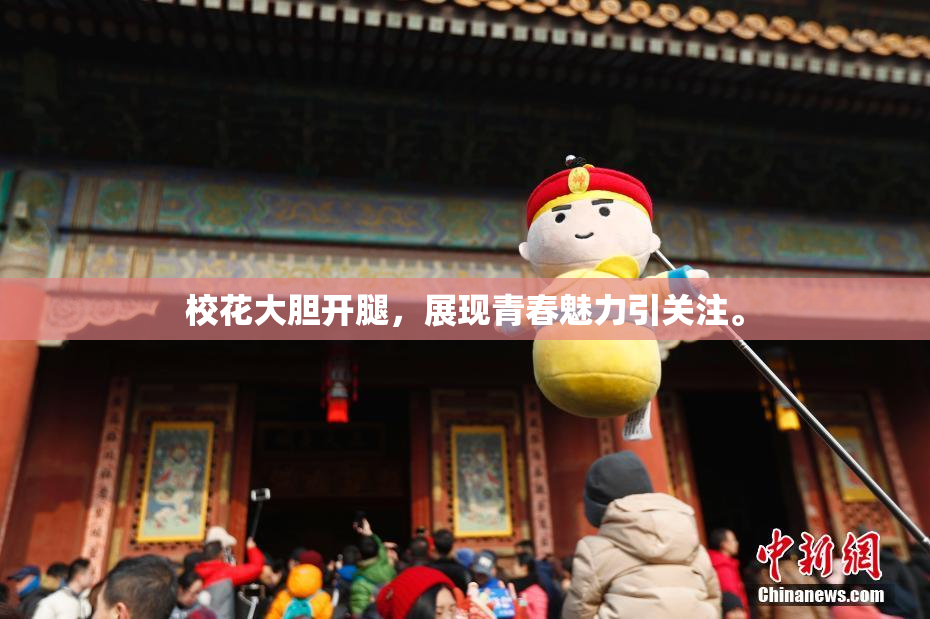 校花大胆开腿，展现青春魅力引关注。