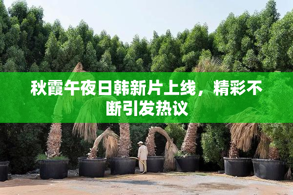 秋霞午夜日韩新片上线，精彩不断引发热议