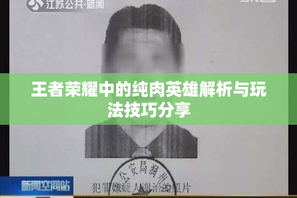 王者荣耀中的纯肉英雄解析与玩法技巧分享