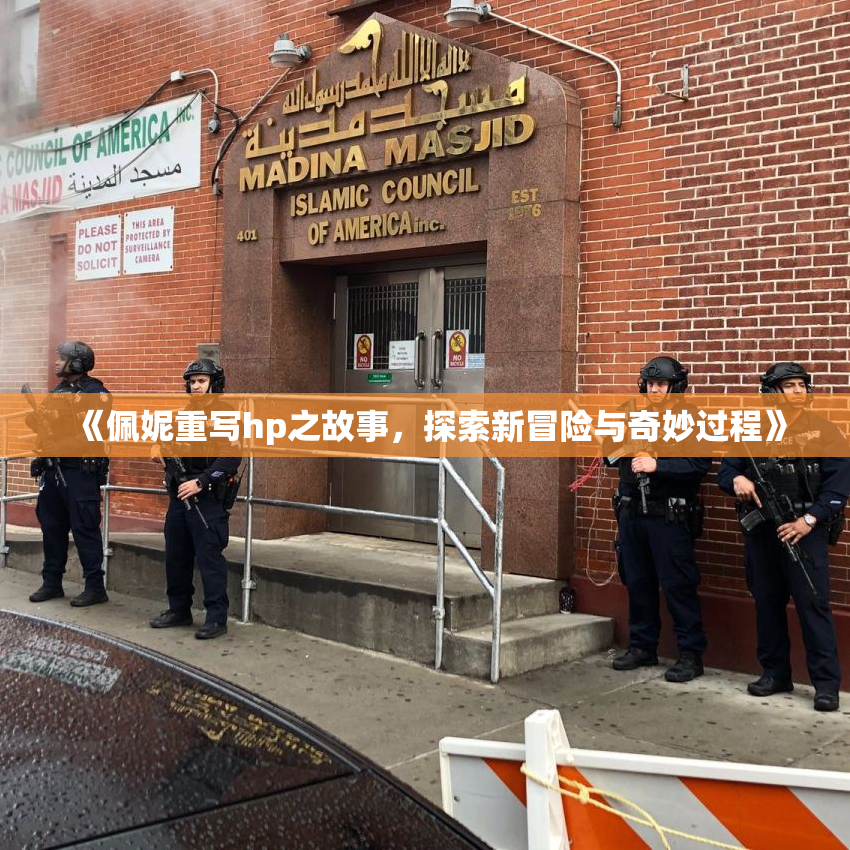 《佩妮重写hp之故事，探索新冒险与奇妙过程》