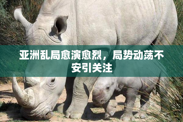 亚洲乱局愈演愈烈，局势动荡不安引关注