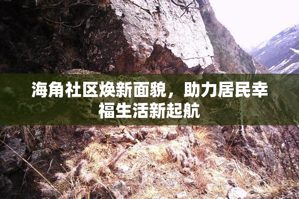海角社区焕新面貌，助力居民幸福生活新起航