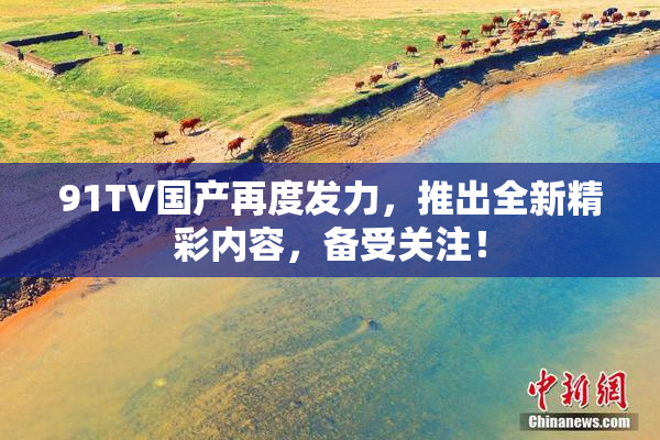 91TV国产再度发力，推出全新精彩内容，备受关注！