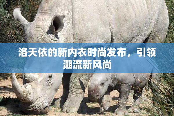 洛天依的新内衣时尚发布，引领潮流新风尚