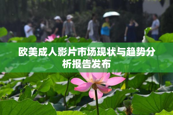 欧美成人影片市场现状与趋势分析报告发布