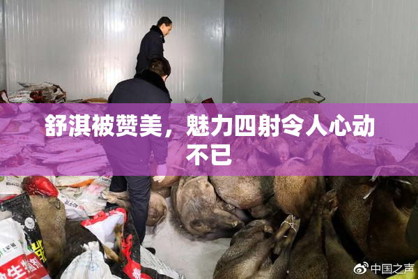 舒淇被赞美，魅力四射令人心动不已