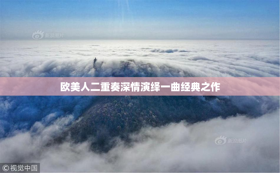 欧美人二重奏深情演绎一曲经典之作