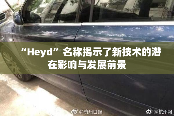“Heyd”名称揭示了新技术的潜在影响与发展前景