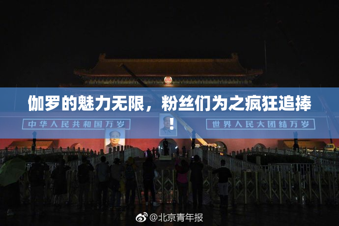 伽罗的魅力无限，粉丝们为之疯狂追捧！