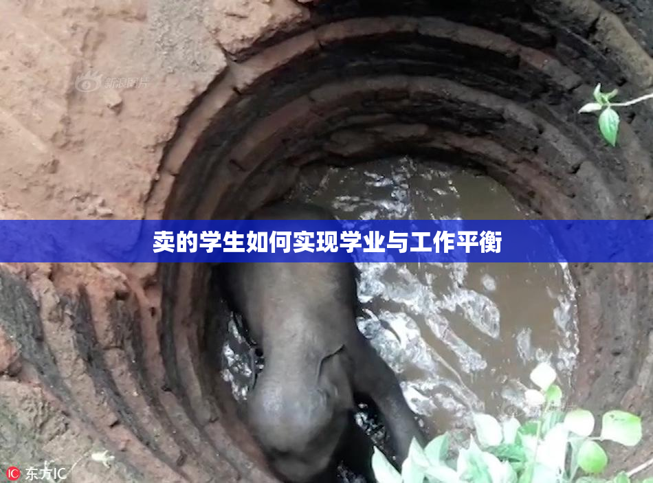 卖的学生如何实现学业与工作平衡