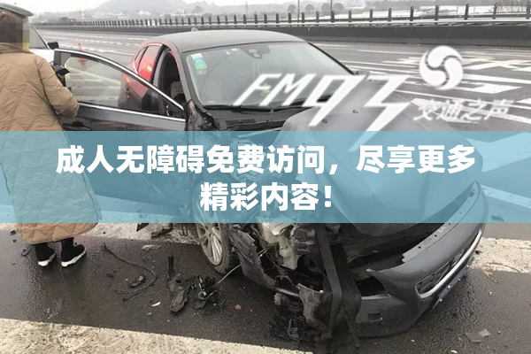 成人无障碍免费访问，尽享更多精彩内容！
