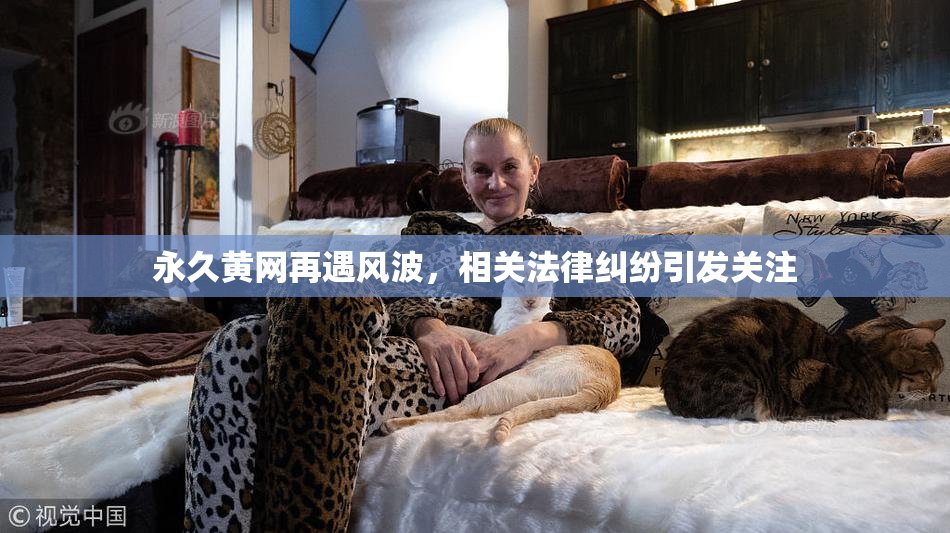 永久黄网再遇风波，相关法律纠纷引发关注