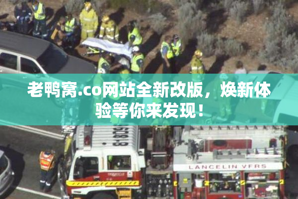老鸭窝.co网站全新改版，焕新体验等你来发现！