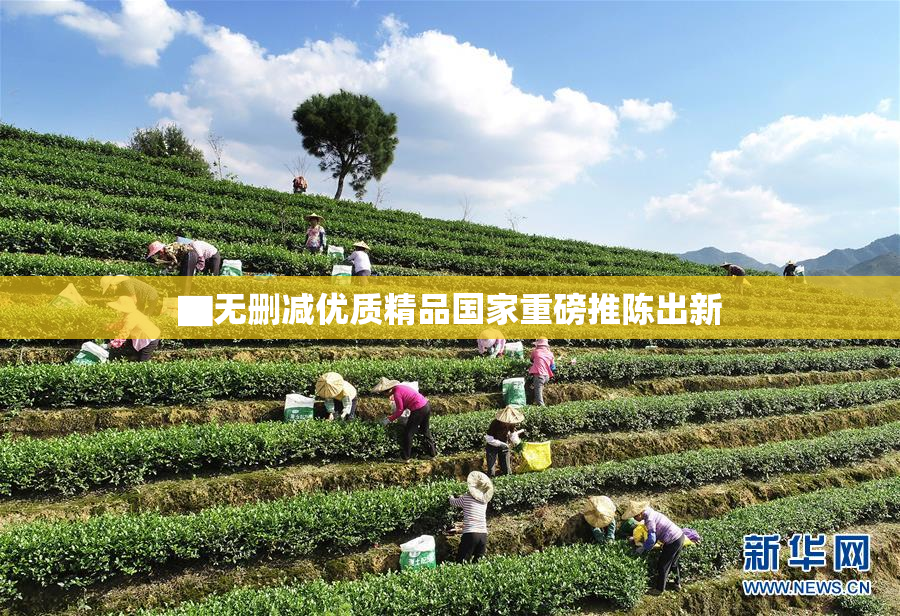 ▇无删减优质精品国家重磅推陈出新