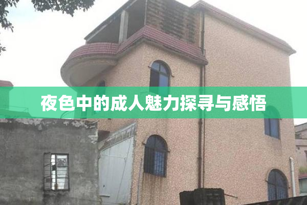 夜色中的成人魅力探寻与感悟
