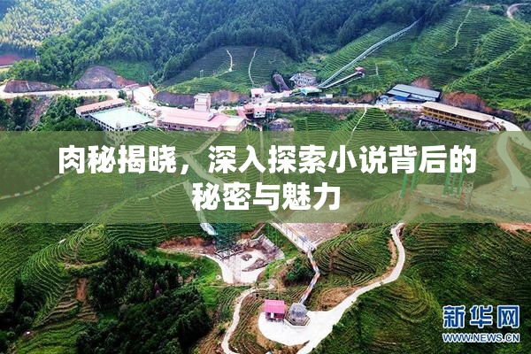 肉秘揭晓，深入探索小说背后的秘密与魅力