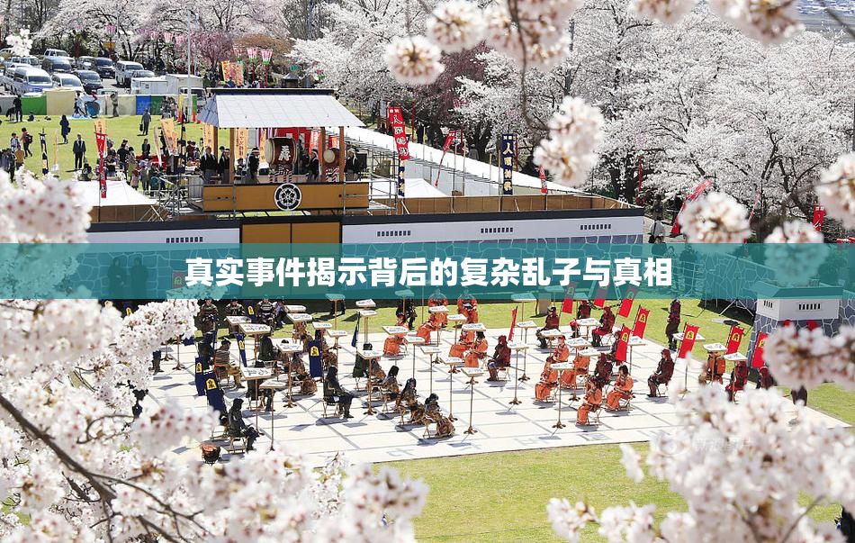 真实事件揭示背后的复杂乱子与真相