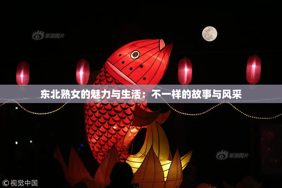 东北熟女的魅力与生活：不一样的故事与风采