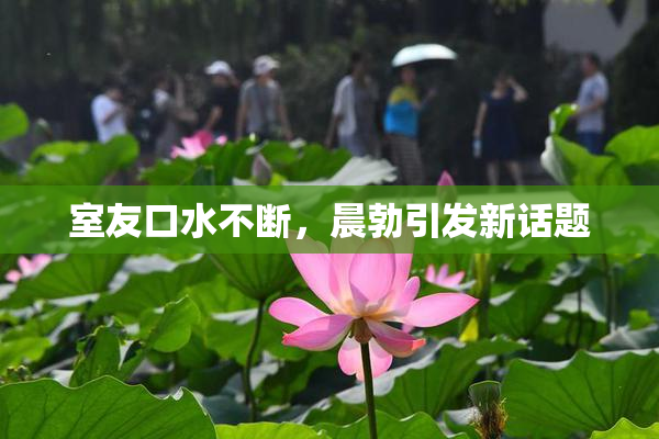 室友口水不断，晨勃引发新话题