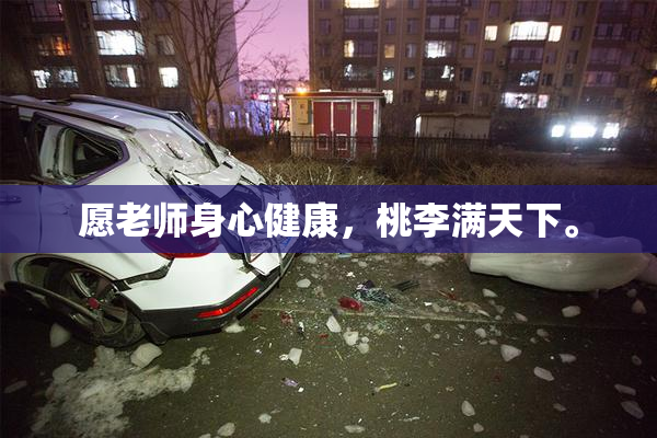 愿老师身心健康，桃李满天下。