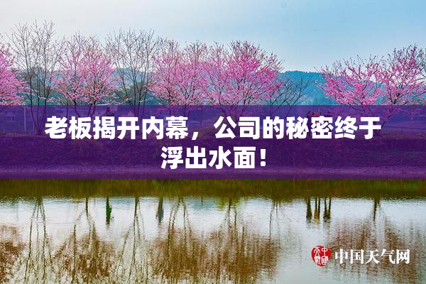 老板揭开内幕，公司的秘密终于浮出水面！