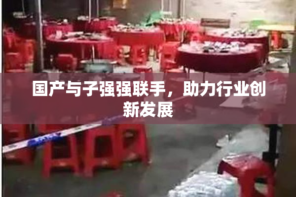 国产与子强强联手，助力行业创新发展