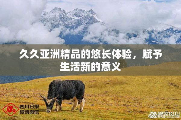 久久亚洲精品的悠长体验，赋予生活新的意义