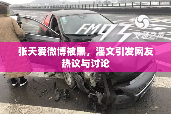 张天爱微博被黑，淫文引发网友热议与讨论