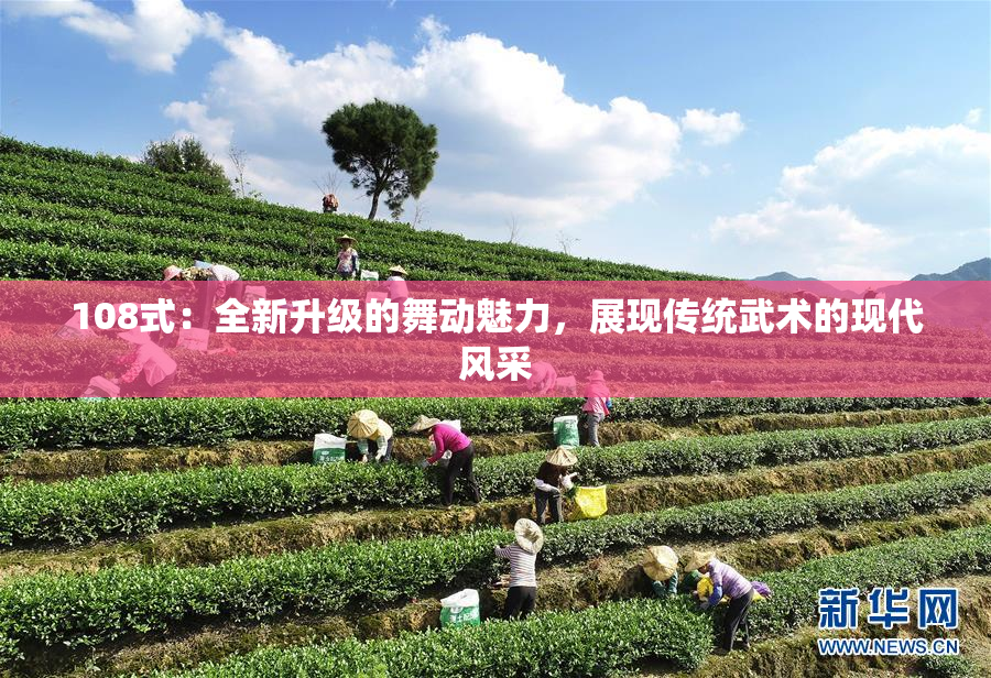 108式：全新升级的舞动魅力，展现传统武术的现代风采