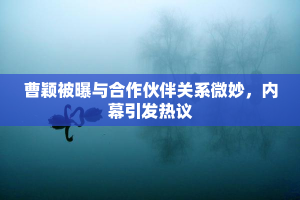 曹颖被曝与合作伙伴关系微妙，内幕引发热议