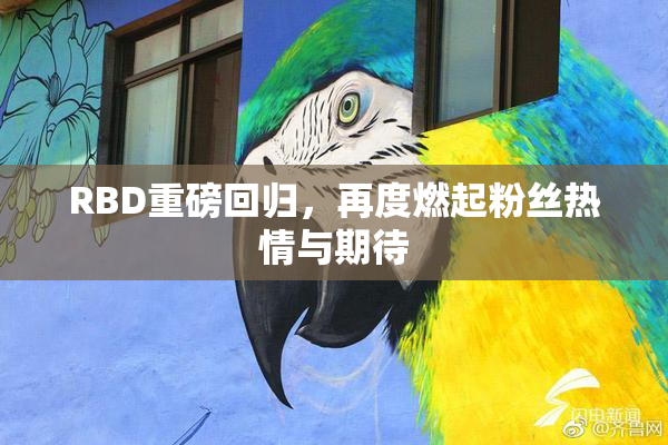 RBD重磅回归，再度燃起粉丝热情与期待