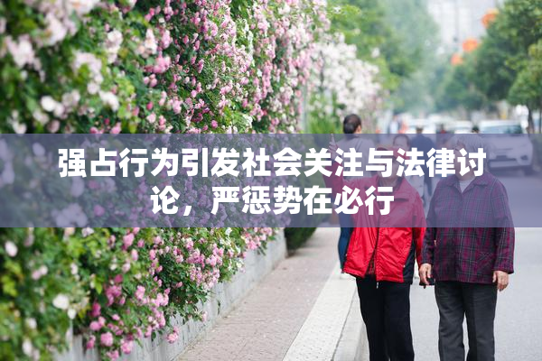 强占行为引发社会关注与法律讨论，严惩势在必行