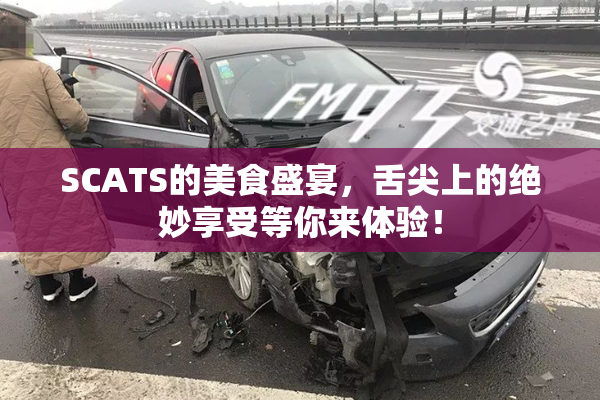 SCATS的美食盛宴，舌尖上的绝妙享受等你来体验！