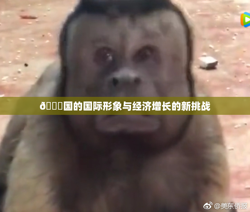 🔞国的国际形象与经济增长的新挑战